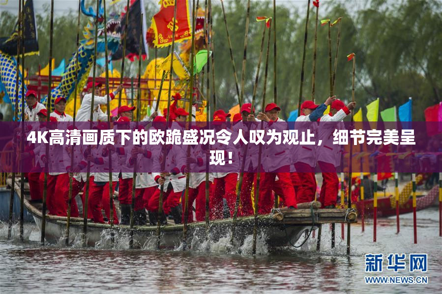 4K高清画质下的欧跪盛况令人叹为观止，细节完美呈现！