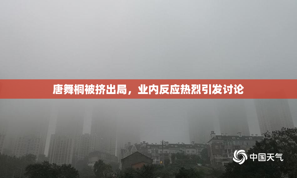 唐舞桐被挤出局，业内反应热烈引发讨论