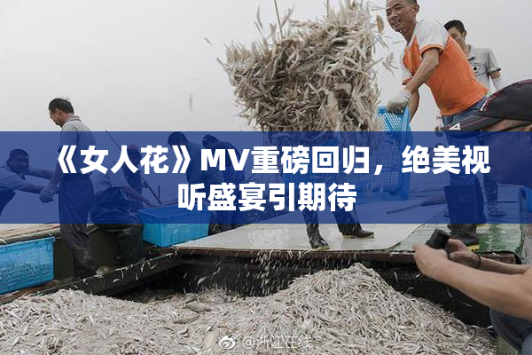 《女人花》MV重磅回归，绝美视听盛宴引期待