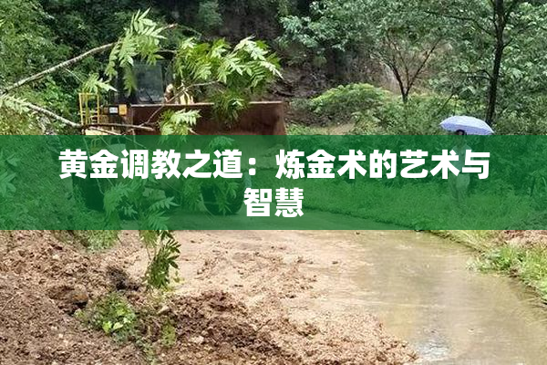 黄金调教之道：炼金术的艺术与智慧