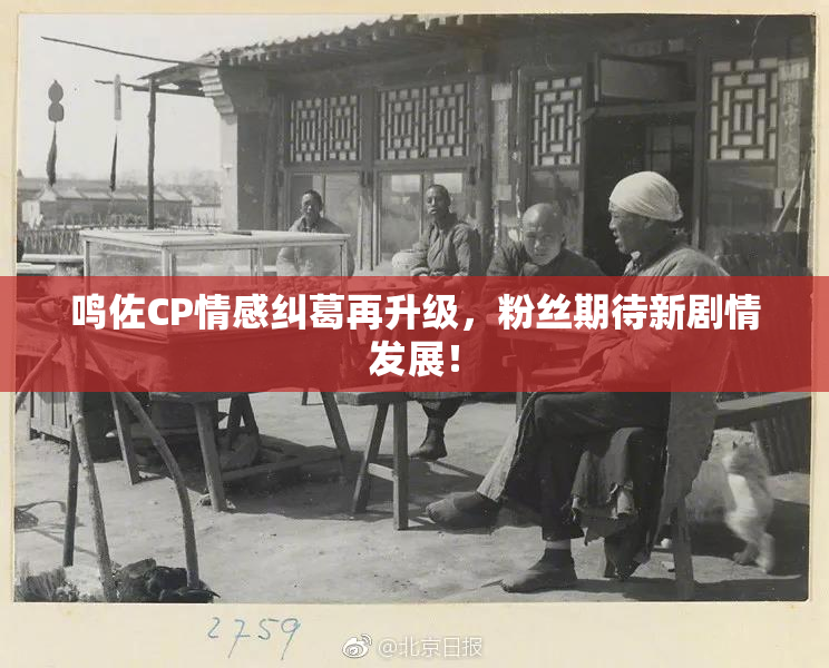 鸣佐CP情感纠葛再升级，粉丝期待新剧情发展！