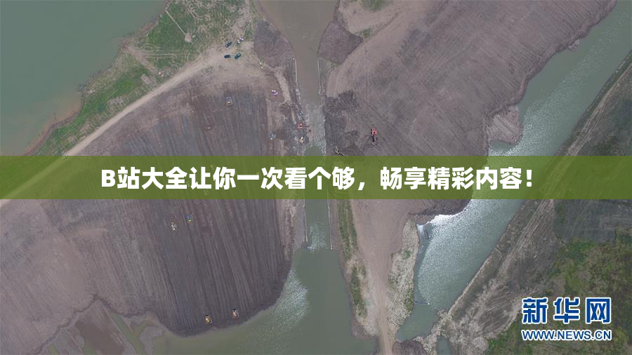 B站大全让你一次看个够，畅享精彩内容！