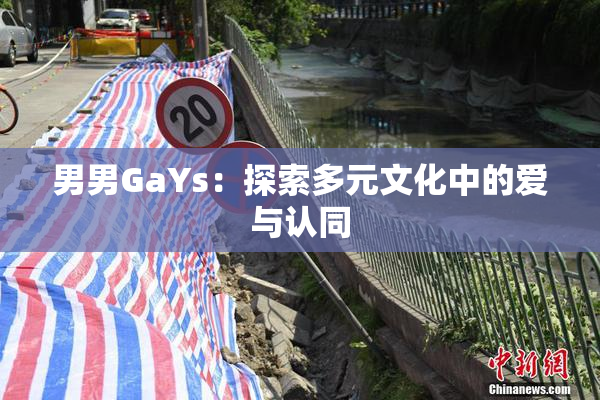 男男GaYs：探索多元文化中的爱与认同