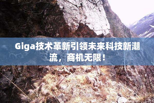Giga技术革新引领未来科技新潮流，商机无限！