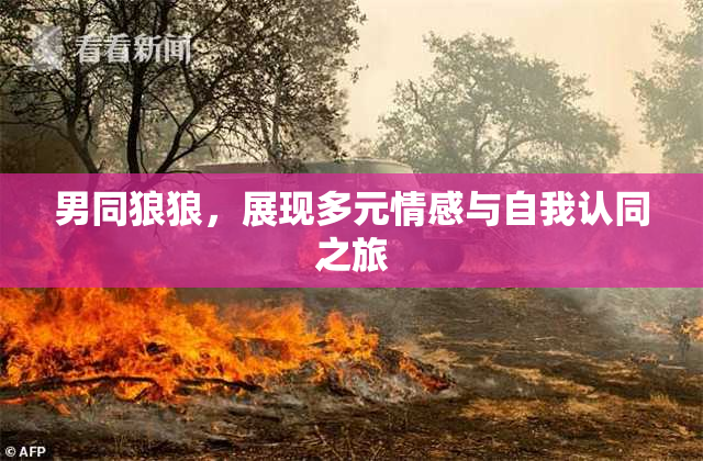 男同狼狼，展现多元情感与自我认同之旅