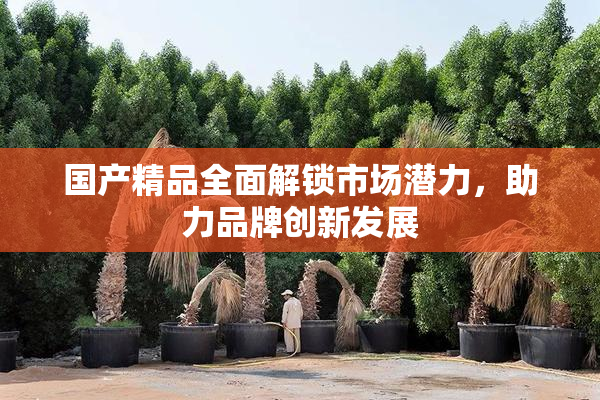 国产精品全面解锁市场潜力，助力品牌创新发展