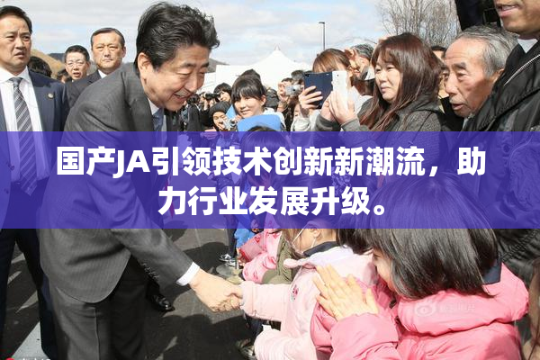 国产JA引领技术创新新潮流，助力行业发展升级。