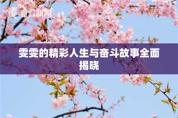 雯雯的精彩人生与奋斗故事全面揭晓