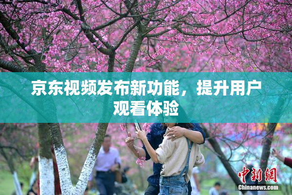京东视频发布新功能，提升用户观看体验
