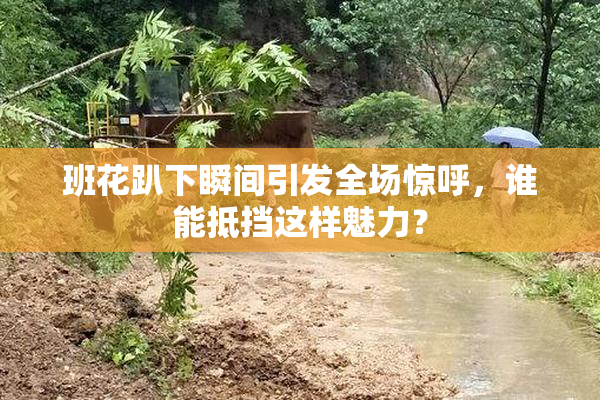 班花趴下瞬间引发全场惊呼，谁能抵挡这样魅力？