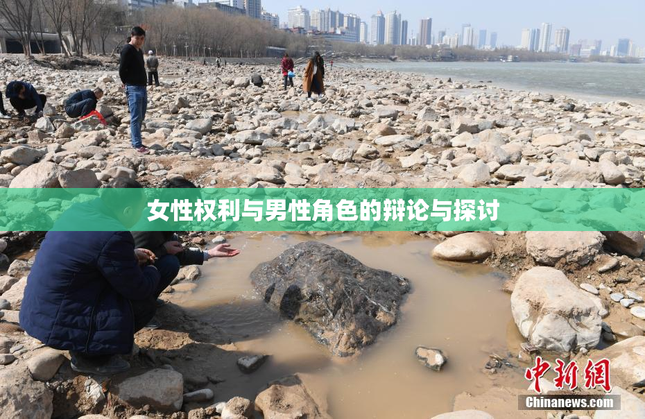 女性权利与男性角色的辩论与探讨