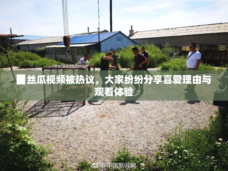 ▉丝瓜视频被热议，大家纷纷分享喜爱理由与观看体验