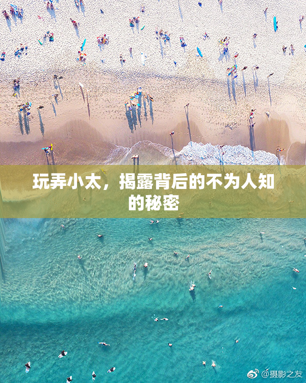 玩弄小太，揭露背后的不为人知的秘密