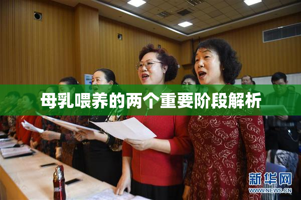 母乳喂养的两个重要阶段解析