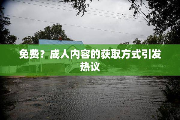 免费？成人内容的获取方式引发热议