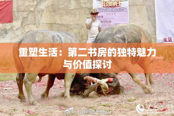 重塑生活：第二书房的独特魅力与价值探讨
