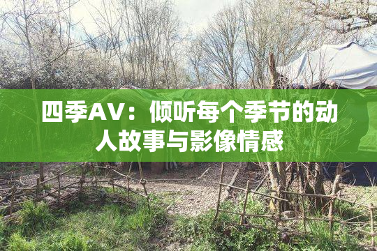 四季AV：倾听每个季节的动人故事与影像情感