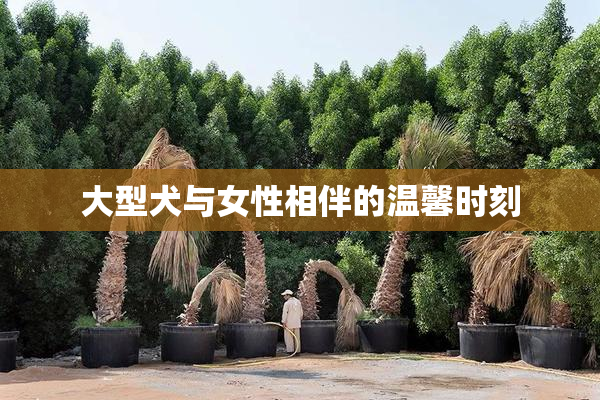 大型犬与女性相伴的温馨时刻