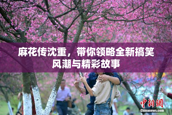 麻花传沈重，带你领略全新搞笑风潮与精彩故事