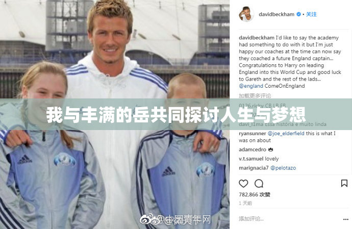 我与丰满的岳共同探讨人生与梦想