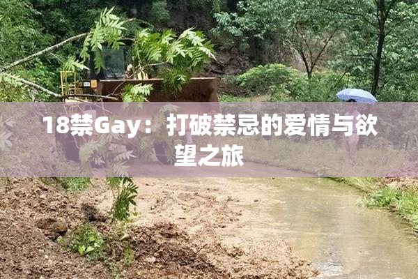 18禁Gay：打破禁忌的爱情与欲望之旅