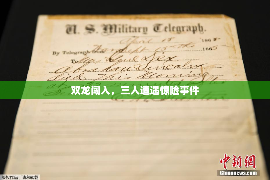 双龙闯入，三人遭遇惊险事件