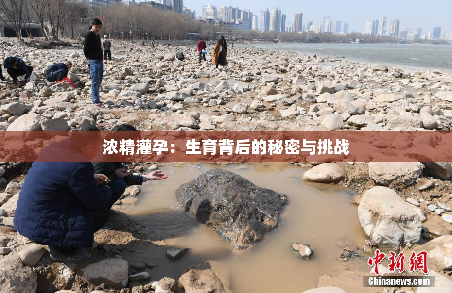 浓精灌孕：生育背后的秘密与挑战