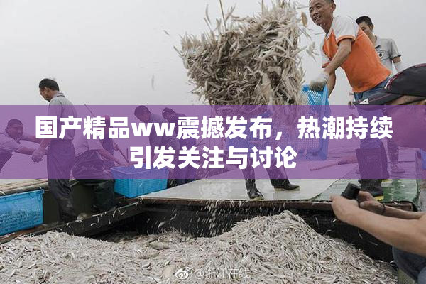 国产精品ww震撼发布，热潮持续引发关注与讨论