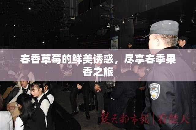 春香草莓的鲜美诱惑，尽享春季果香之旅