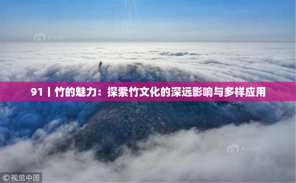 91丨竹的魅力：探索竹文化的深远影响与多样应用