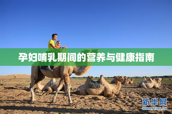 孕妇哺乳期间的营养与健康指南