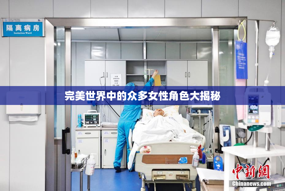 完美世界中的众多女性角色大揭秘