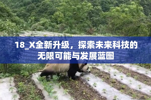 18_X全新升级，探索未来科技的无限可能与发展蓝图