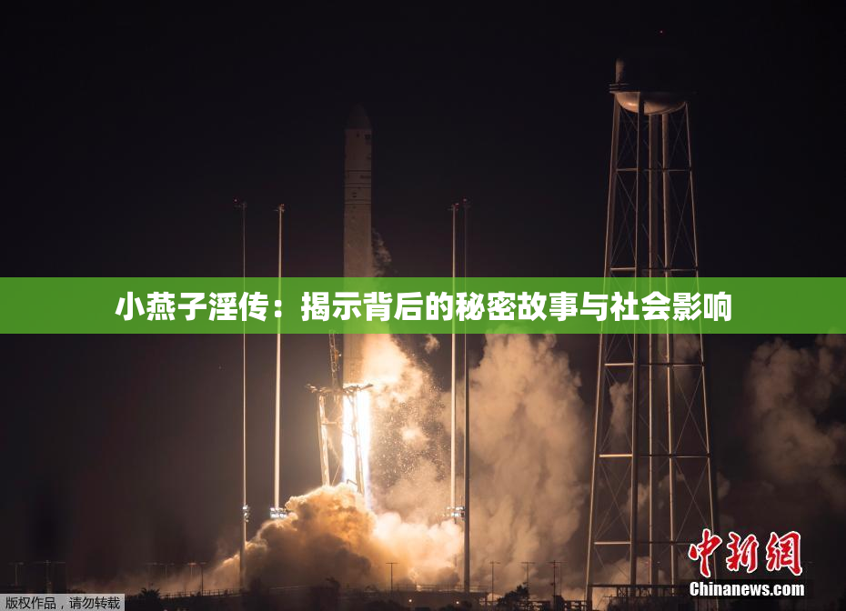 小燕子淫传：揭示背后的秘密故事与社会影响