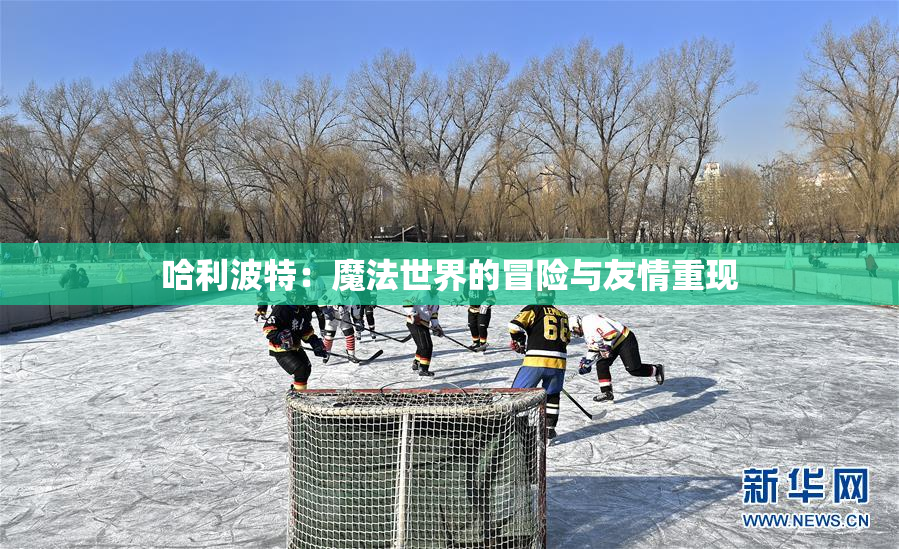 哈利波特：魔法世界的冒险与友情重现