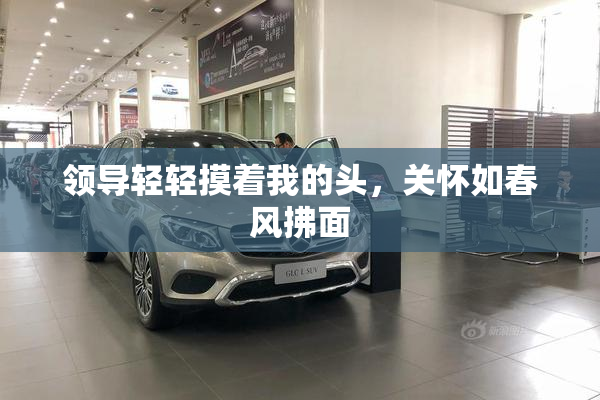 领导轻轻摸着我的头，关怀如春风拂面