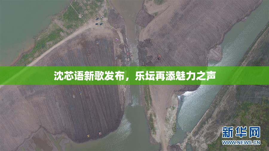 沈芯语新歌发布，乐坛再添魅力之声