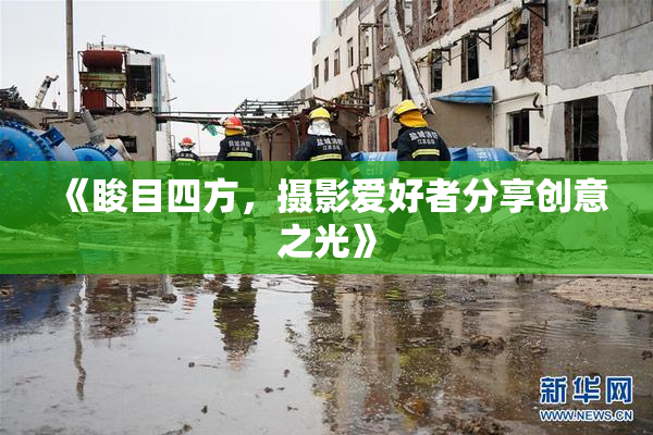 《睃目四方，摄影爱好者分享创意之光》