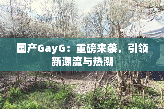 国产GayG：重磅来袭，引领新潮流与热潮