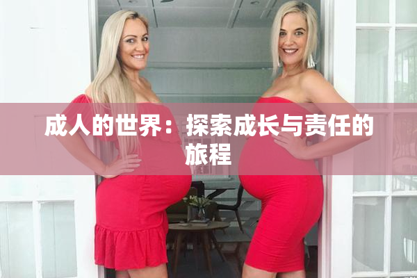 成人的世界：探索成长与责任的旅程