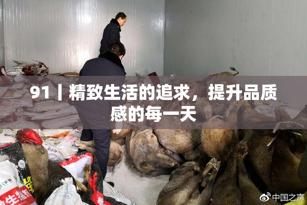 91丨精致生活的追求，提升品质感的每一天
