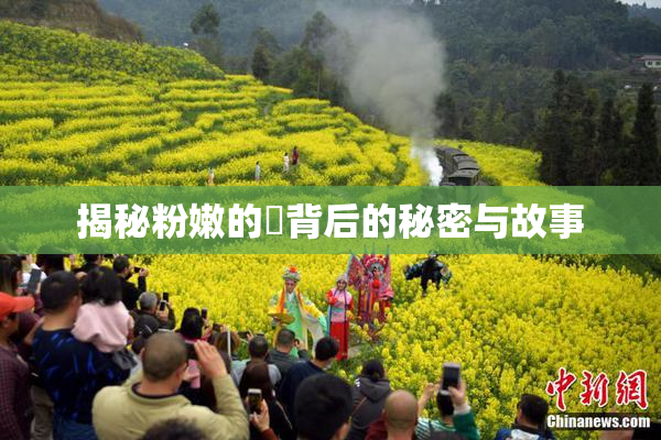 揭秘粉嫩的泬背后的秘密与故事