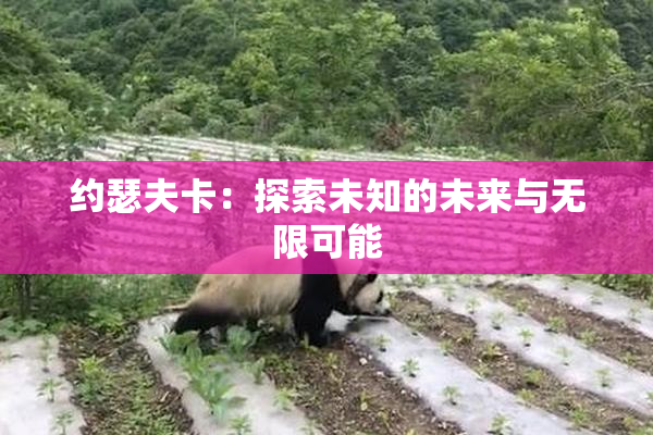 约瑟夫卡：探索未知的未来与无限可能