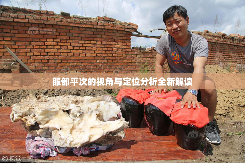 服部平次的视角与定位分析全新解读