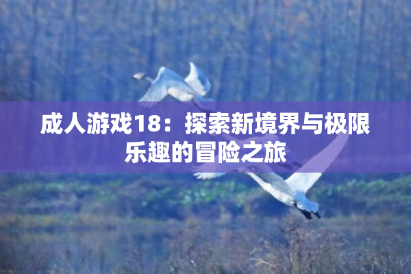 成人游戏18：探索新境界与极限乐趣的冒险之旅
