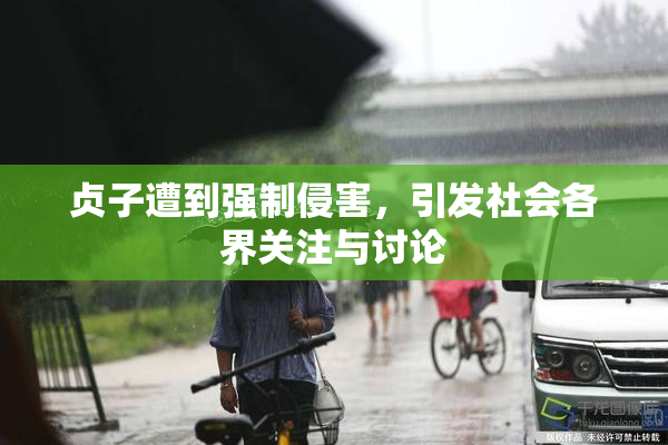 贞子遭到强制侵害，引发社会各界关注与讨论