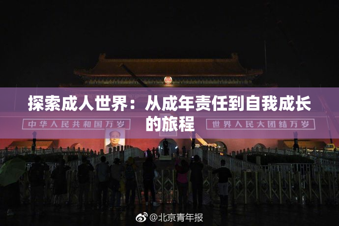 探索成人世界：从成年责任到自我成长的旅程