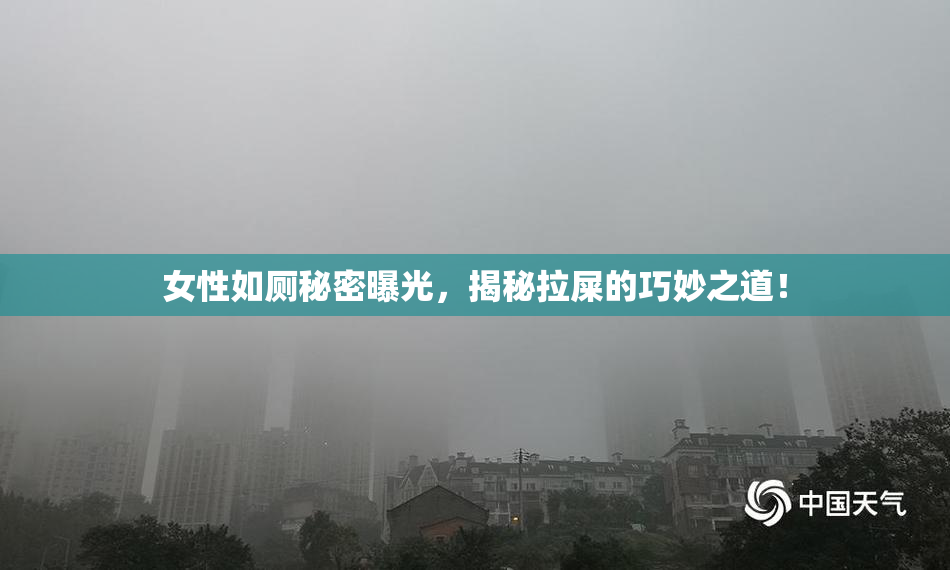 女性如厕秘密曝光，揭秘拉屎的巧妙之道！