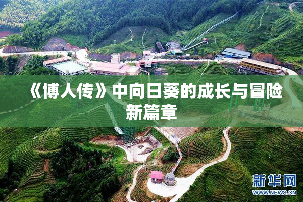 《博人传》中向日葵的成长与冒险新篇章