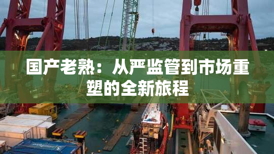 国产老熟：从严监管到市场重塑的全新旅程
